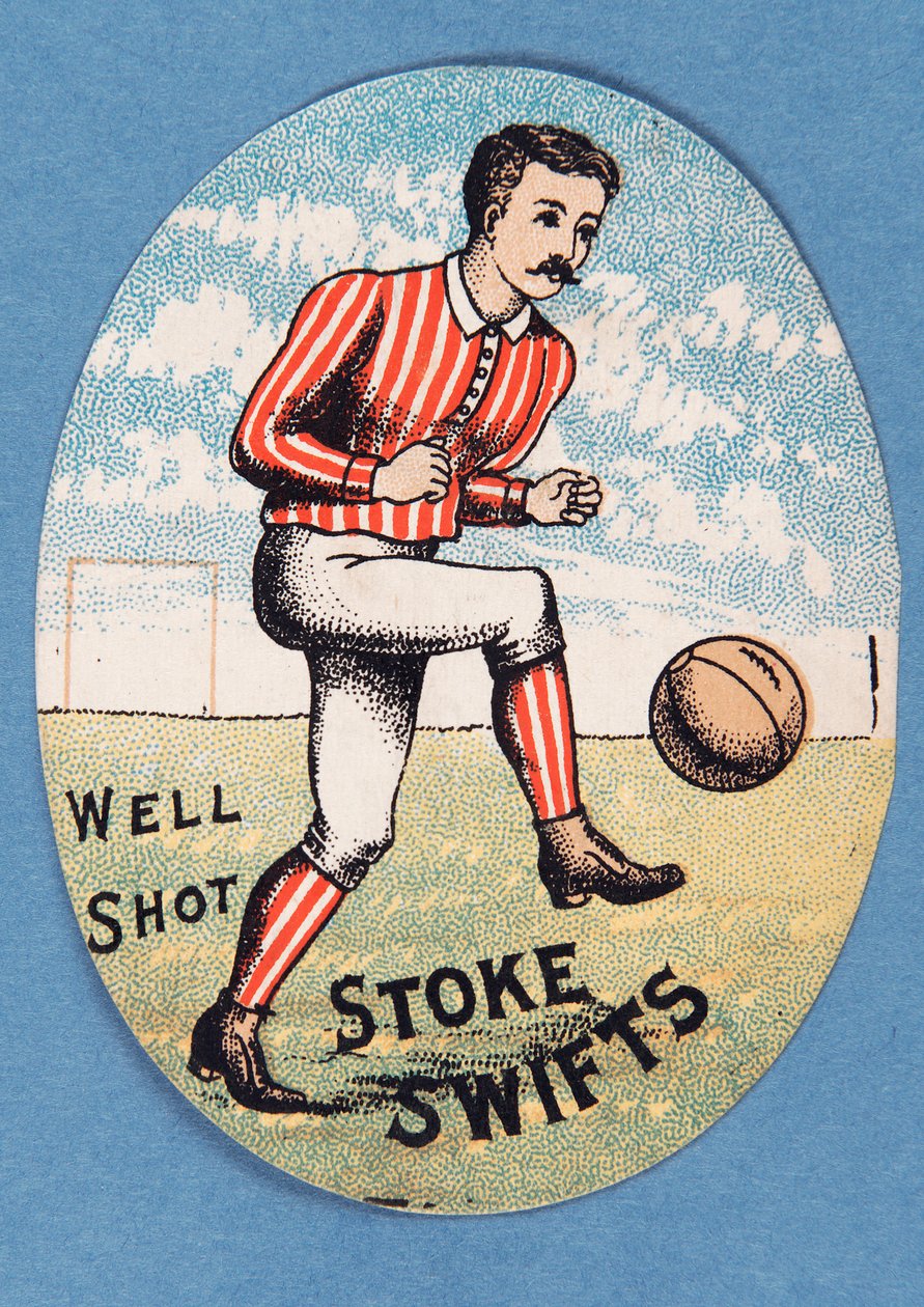 Bien Tiré Stoke Swifts - English School