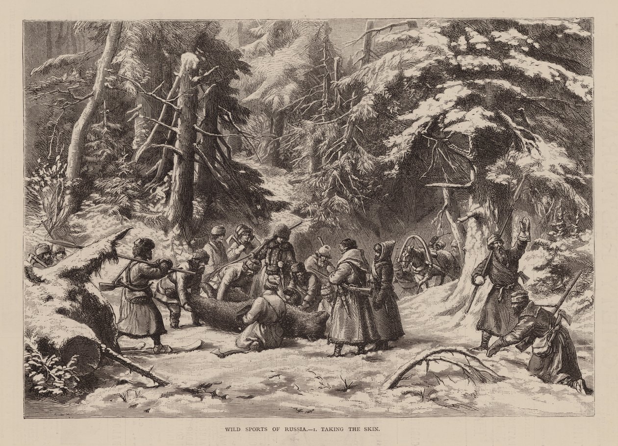 Sports sauvages de Russie, I, Prendre la peau (gravure) - English School