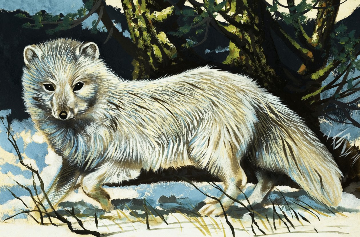 Loup - English School