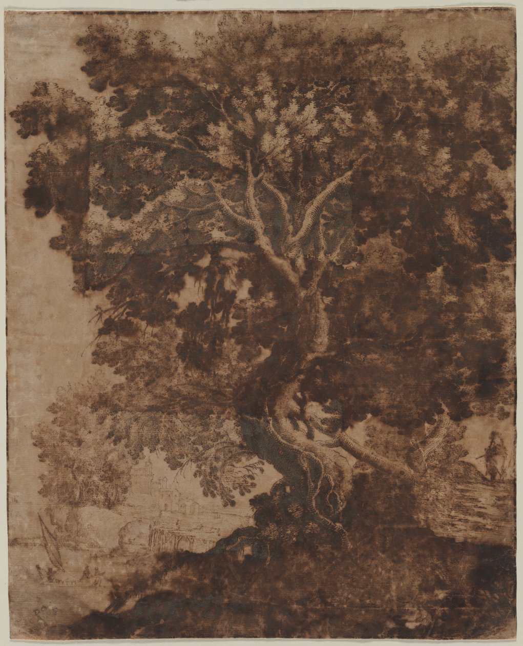 Arbre dans un paysage - Ercole Bazicaluva