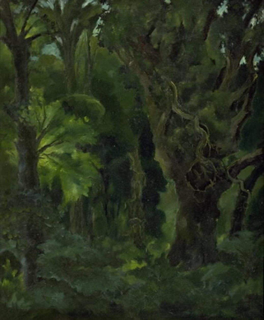 Paysage boisé. "La Forêt nordique" - Erik Stæhr Nielsen