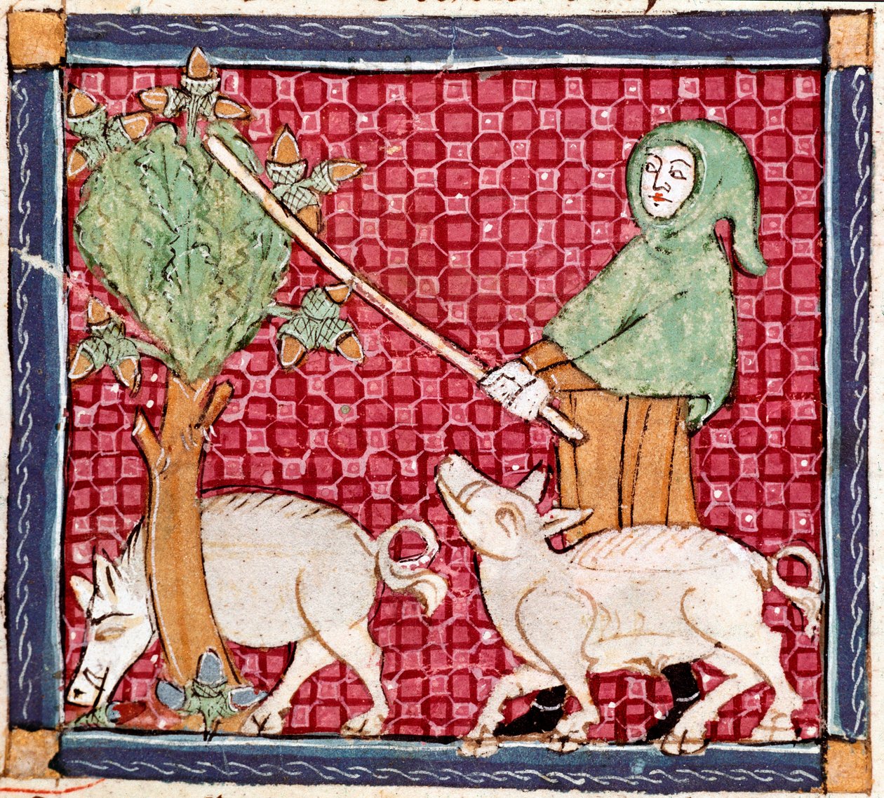 Septembre : cochons mangeant des glands. Miniature du Breviaire d