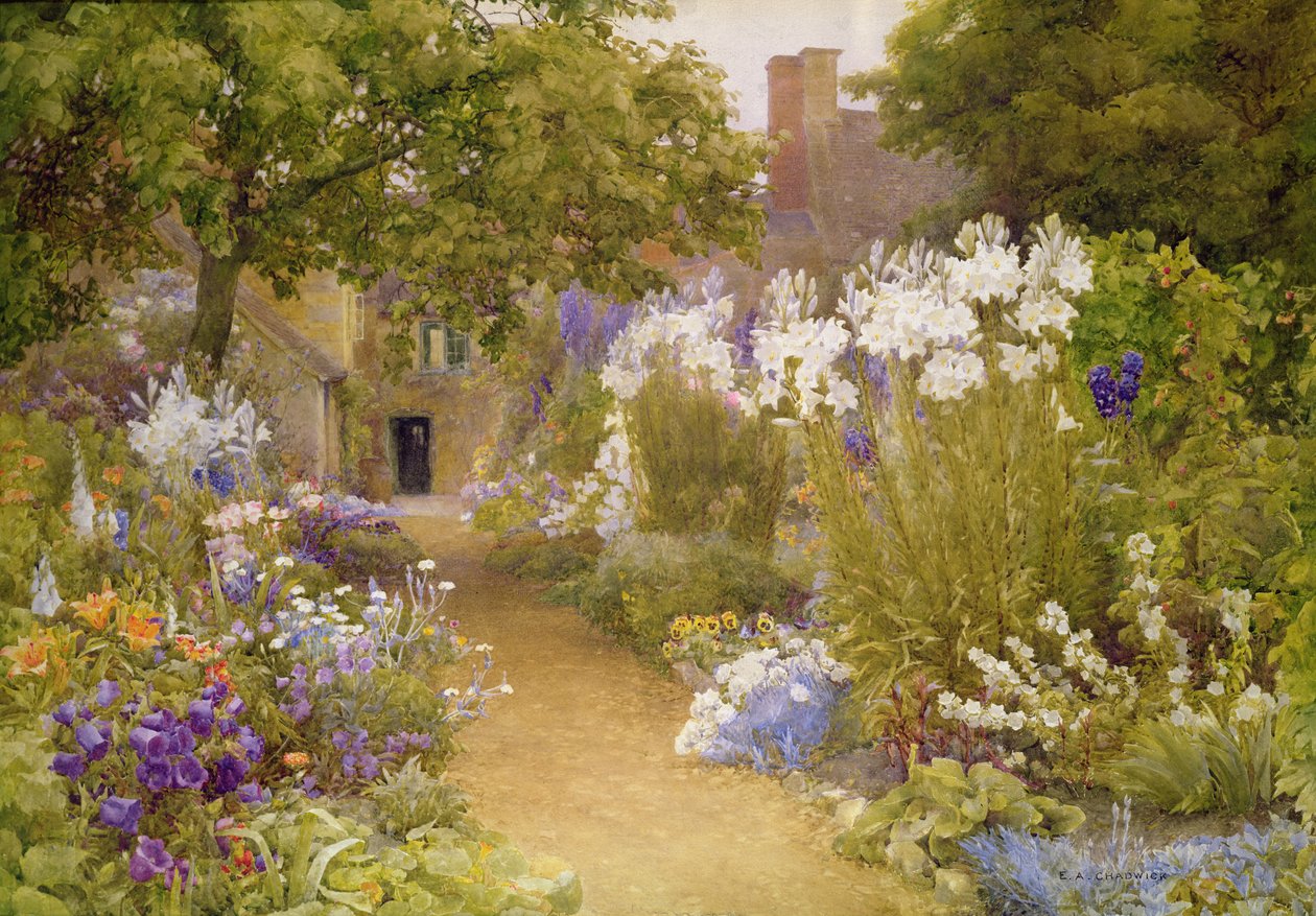 Lys de la Madone - Ernest Albert Chadwick