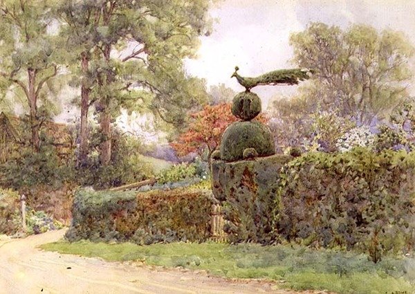 La vieille haie d