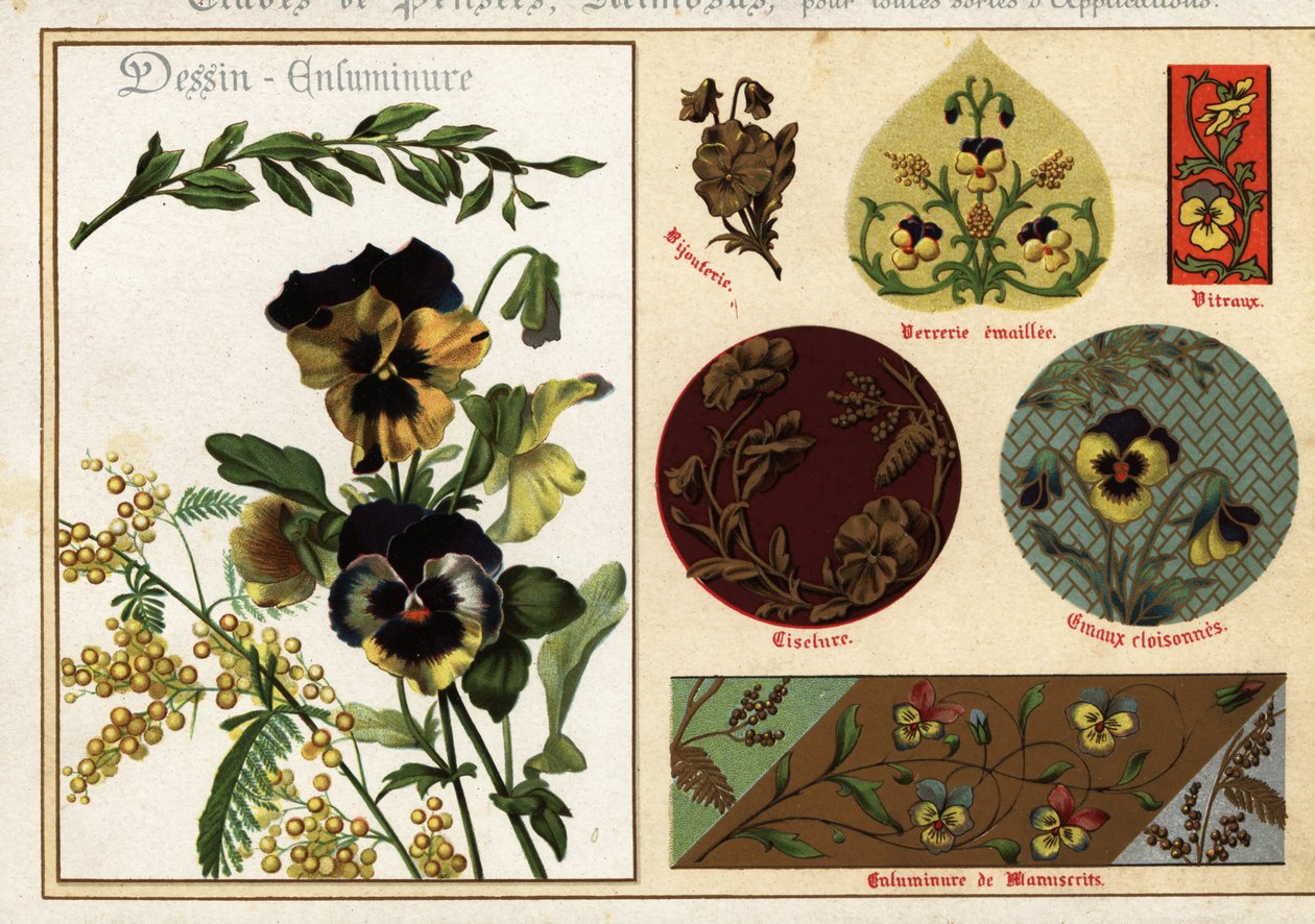 Images de pensées et de mimosa des manuscrits et leur application - Ernest Guillot
