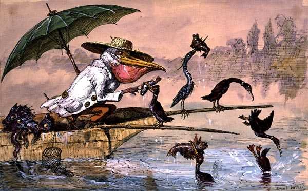 Cormorans présentant des poissons à un pélican dans une barque sous un parapluie de 