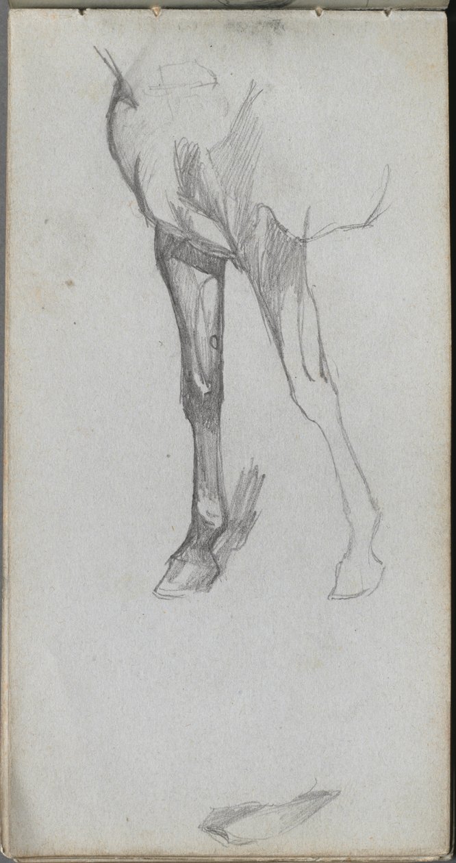 Carnet de croquis, page 66 : Étude d