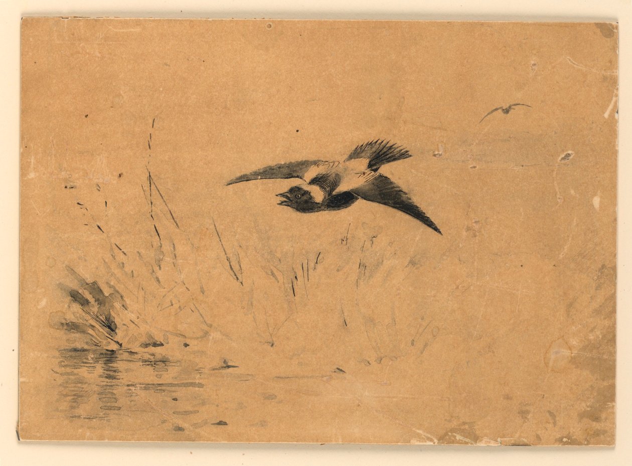 Goglu - Ernest Thompson Seton