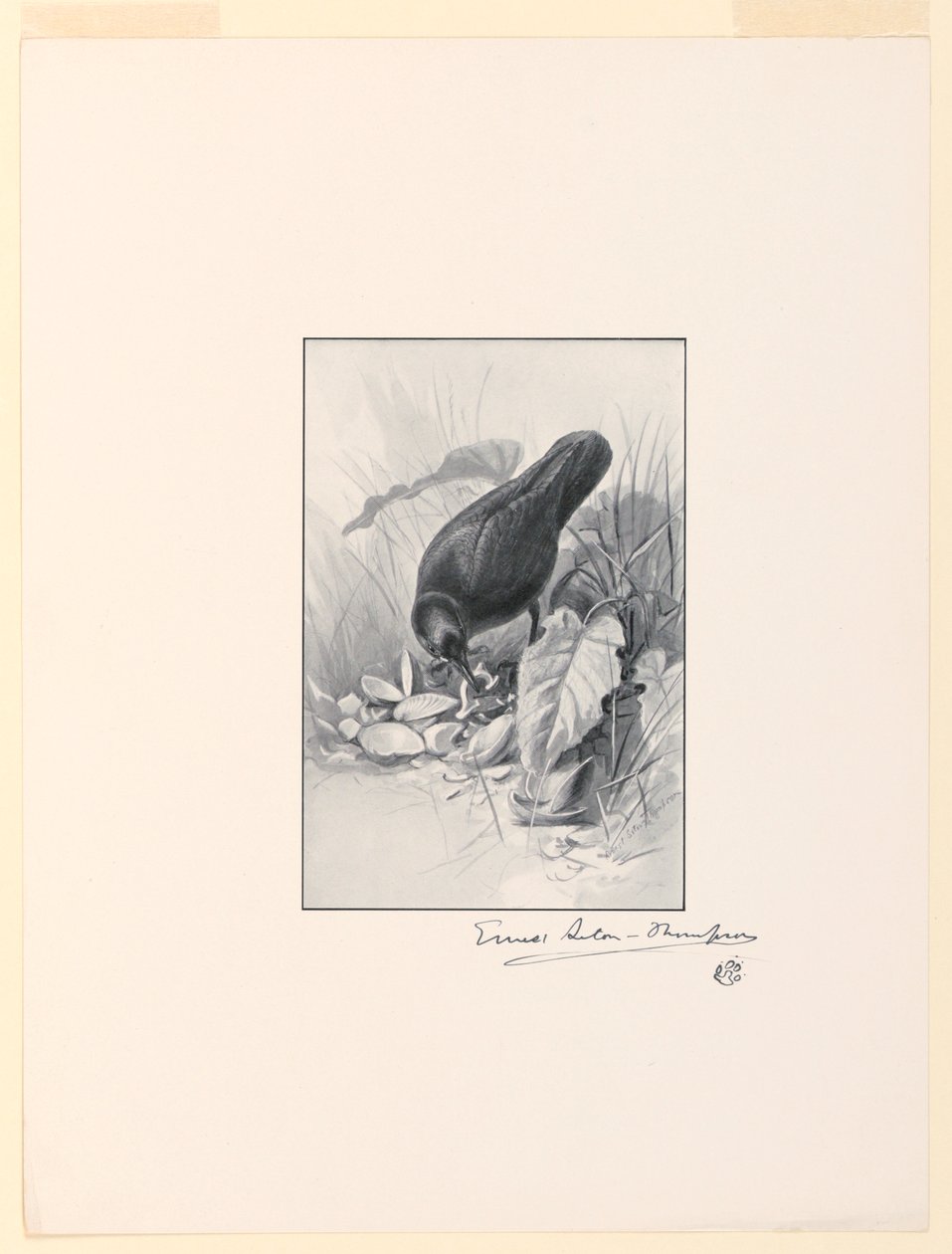 La poignée d