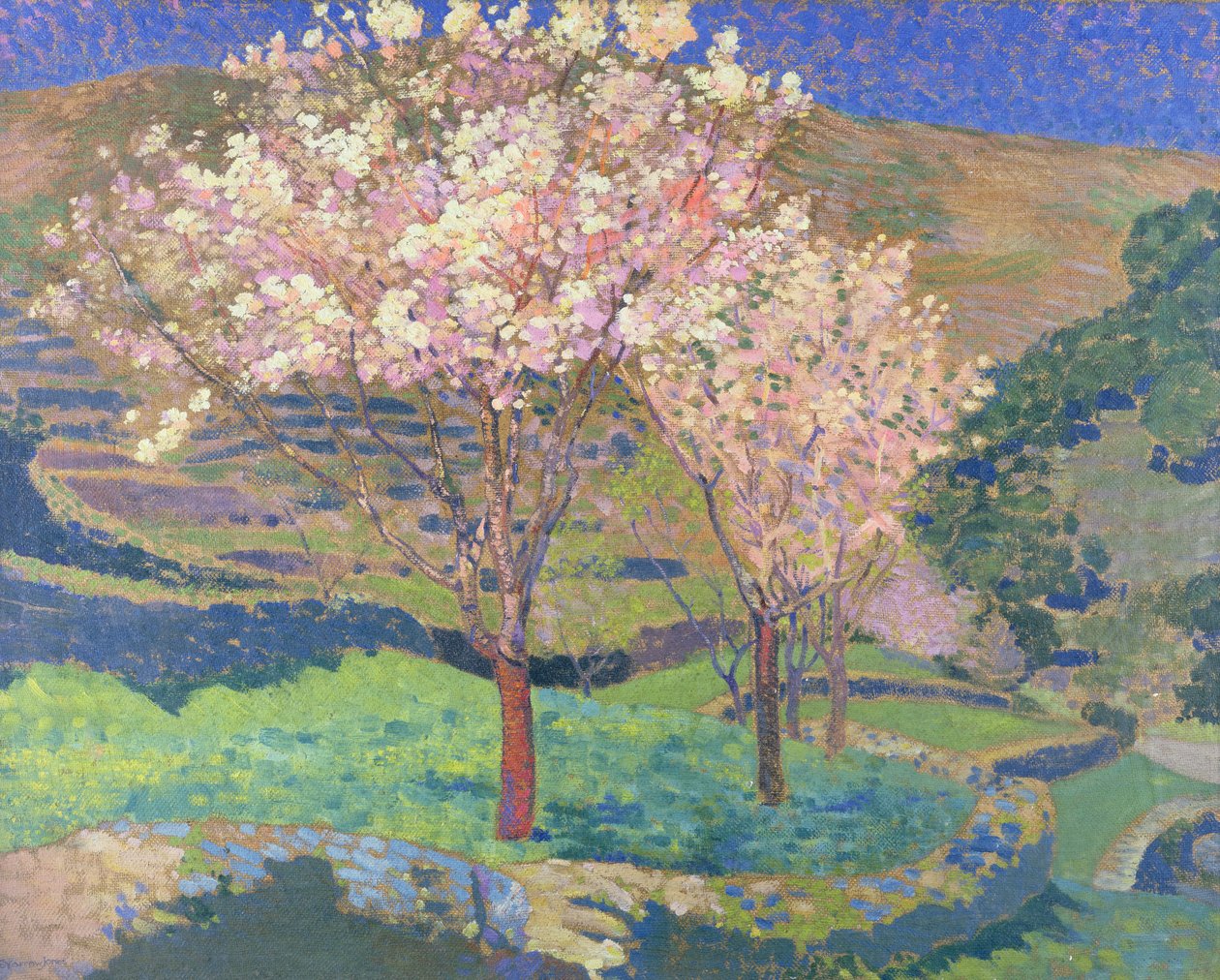 Arbres en fleurs avec terrasses - Ernest Yarrow Jones