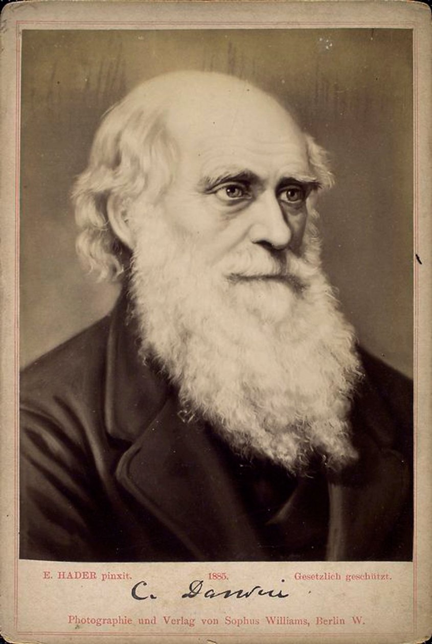 Charles Darwin, naturaliste britannique, c1860s-c1870s - Ernst Hader