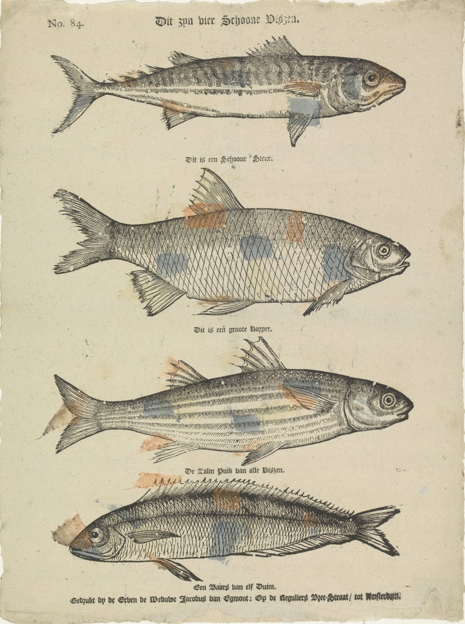 Voici quatre beaux poissons - Erven de Weduwe Jacobus van Egmont