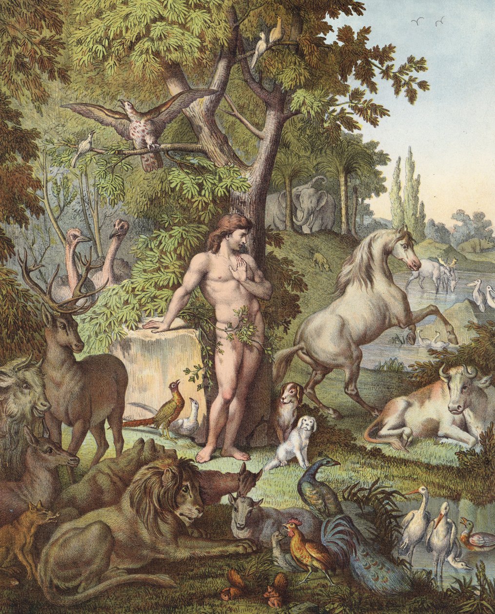 Adam dans le jardin d