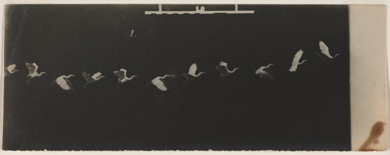 Chronophotographie d