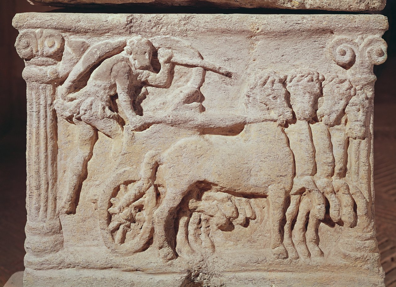 Détail d