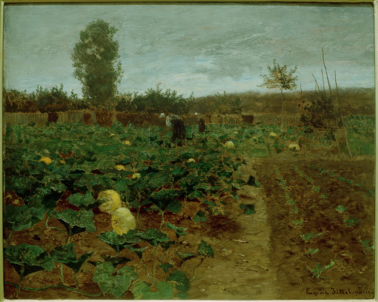 Champ de citrouilles - Eugen Jettel