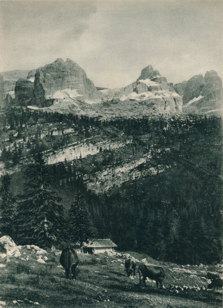 Vue du groupe de Brenta avec pâturage alpin, Madonna di Campiglio, Dolomites, Italie, 1927 - Eugen Poppel