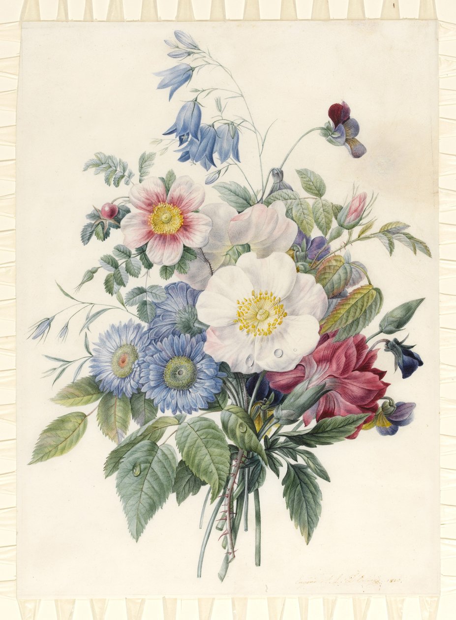 Asters bleus, hybride de Rosa Spinosissima, campanule, violettes, œillet et une rose sauvage, 1820 - Eugene A. L. d Orleans