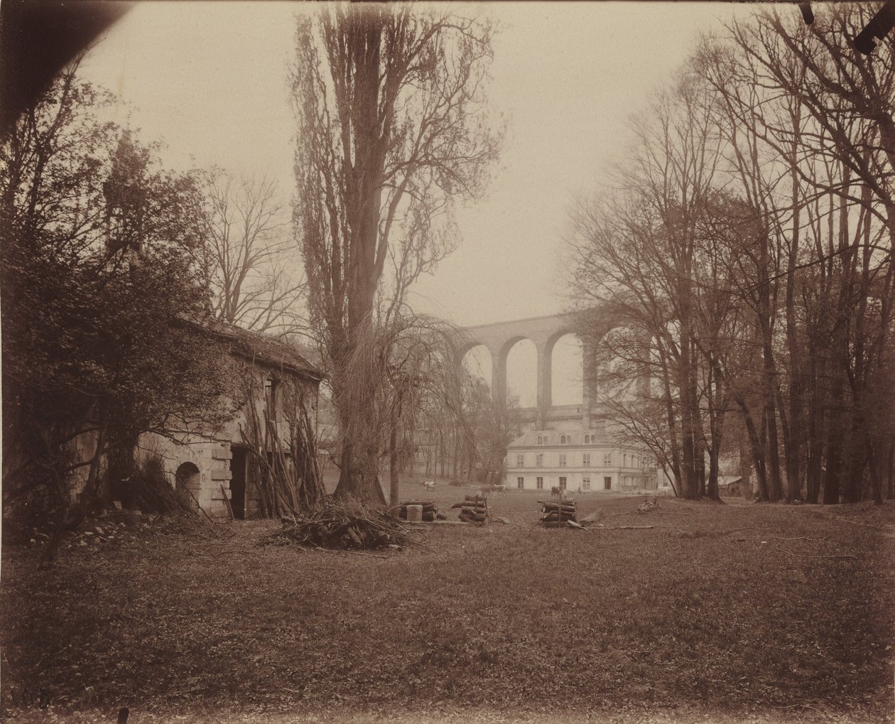 Arcueil-Cachan, parc de Madame de Provigny - Eugène Atget