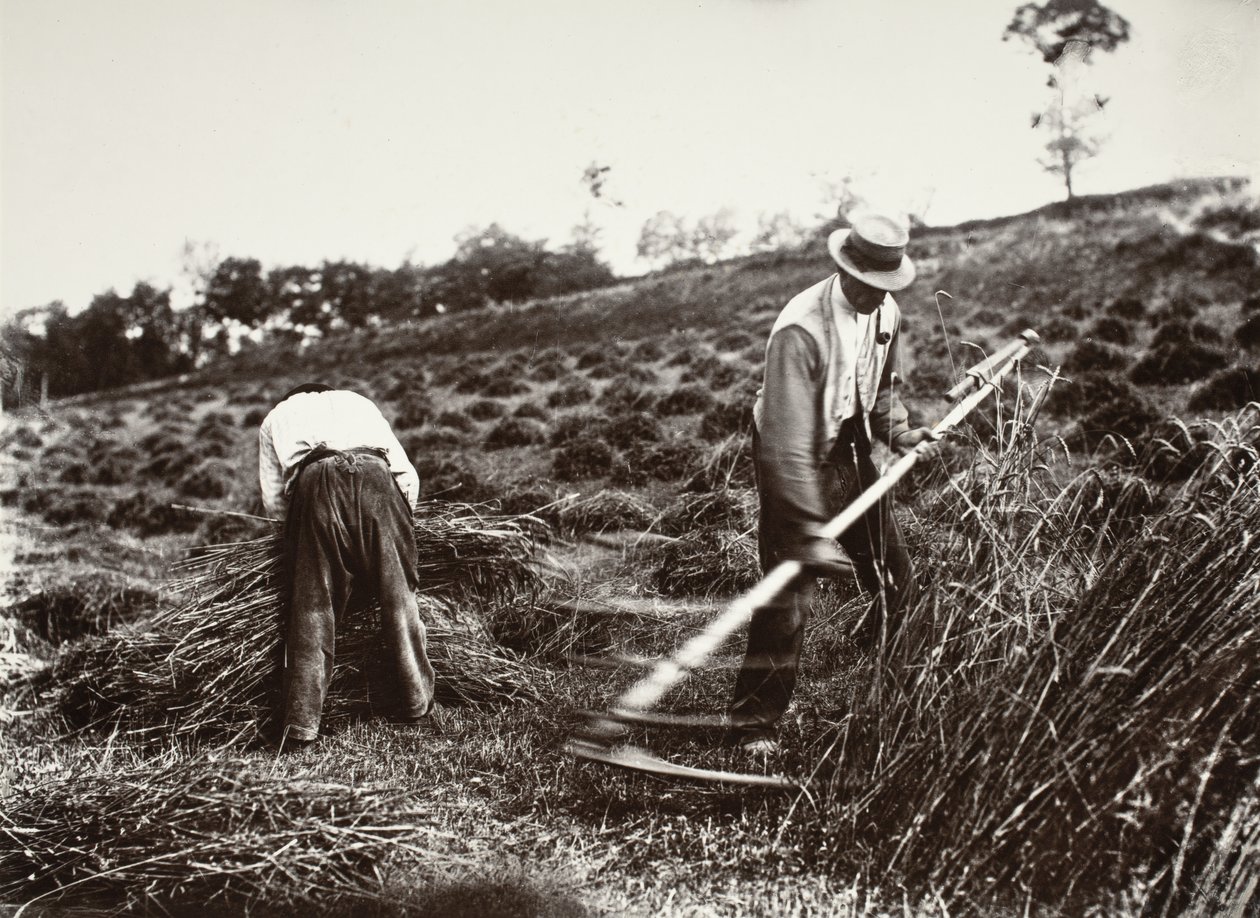 Faucheurs, Somme - Eugène Atget