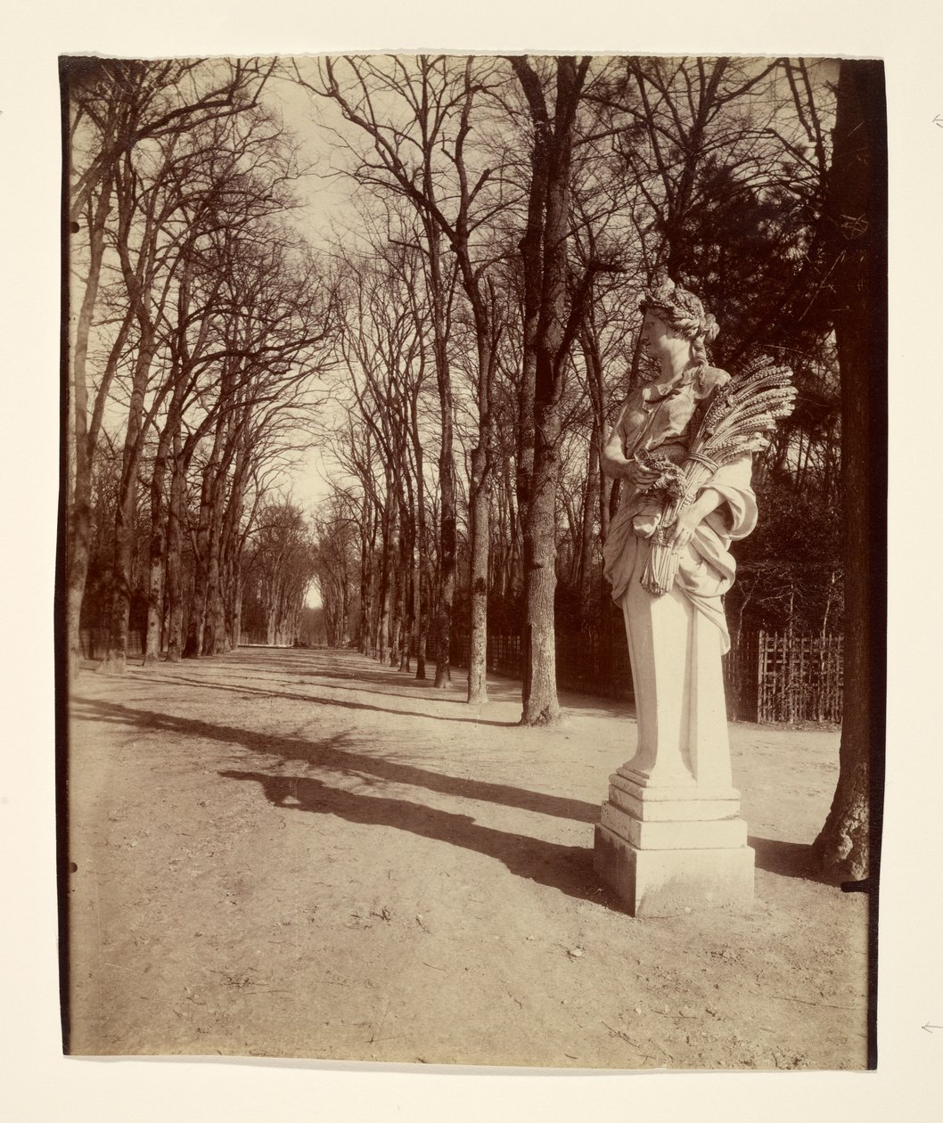 Parc de Versailles - Eugène Atget