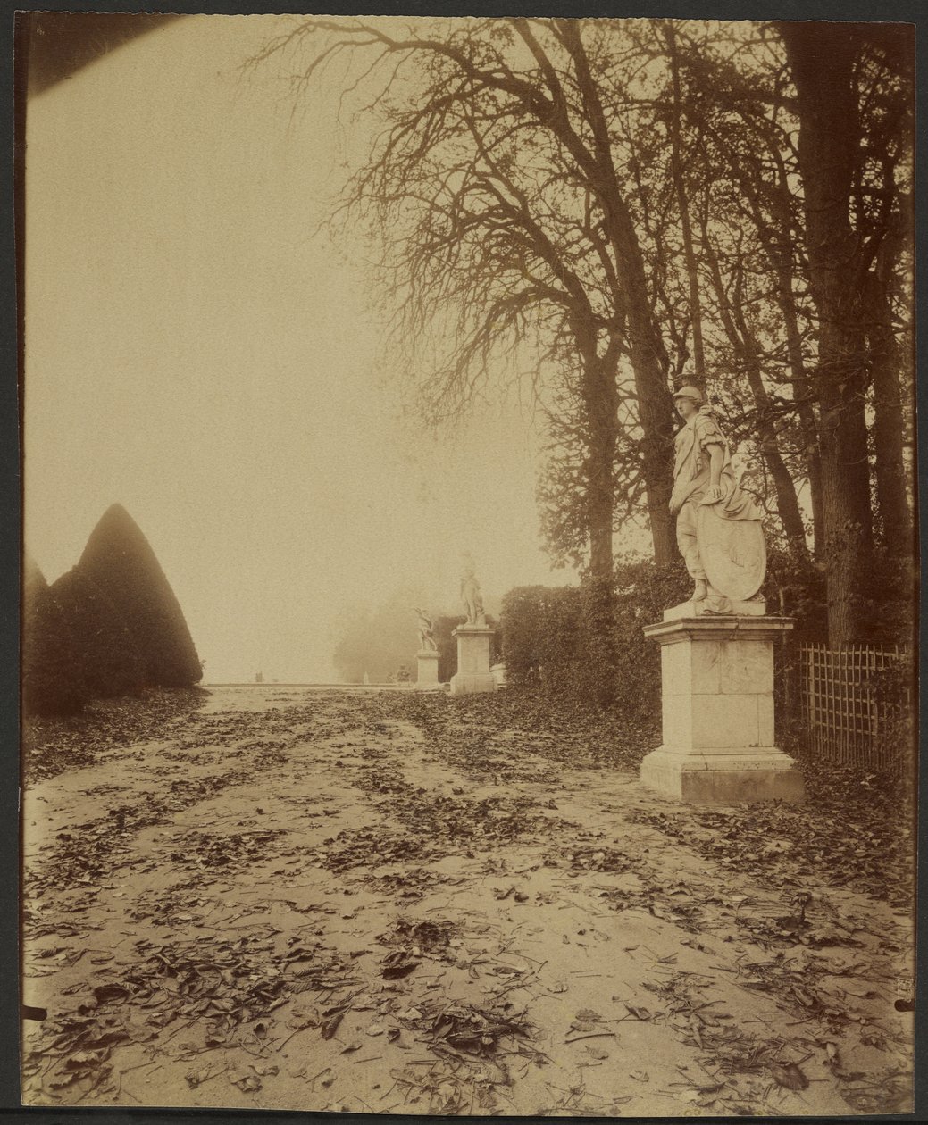 Versailles, le Parc (Avenue dans le parc de Versailles) - Eugène Atget