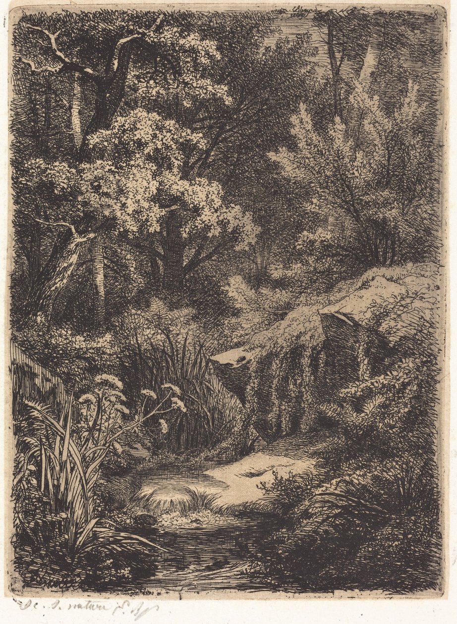 Le petit ruisseau - Eugene Bléry