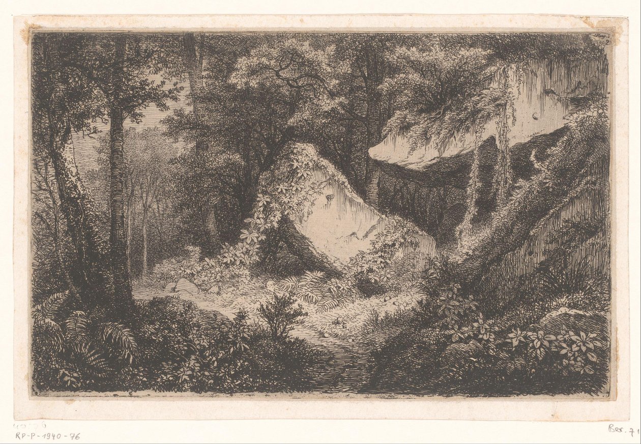 Rochers couverts de végétation dans une forêt (Suite de 8 eaux-fortes gravées sur nature près Dampierre par Eug. Bléry) - Eugene Bléry