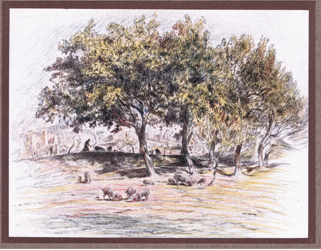 Frère Juniper coupe le pied d