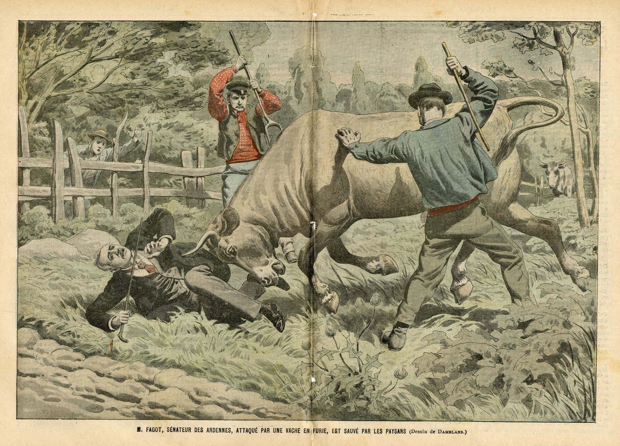 Illustration d