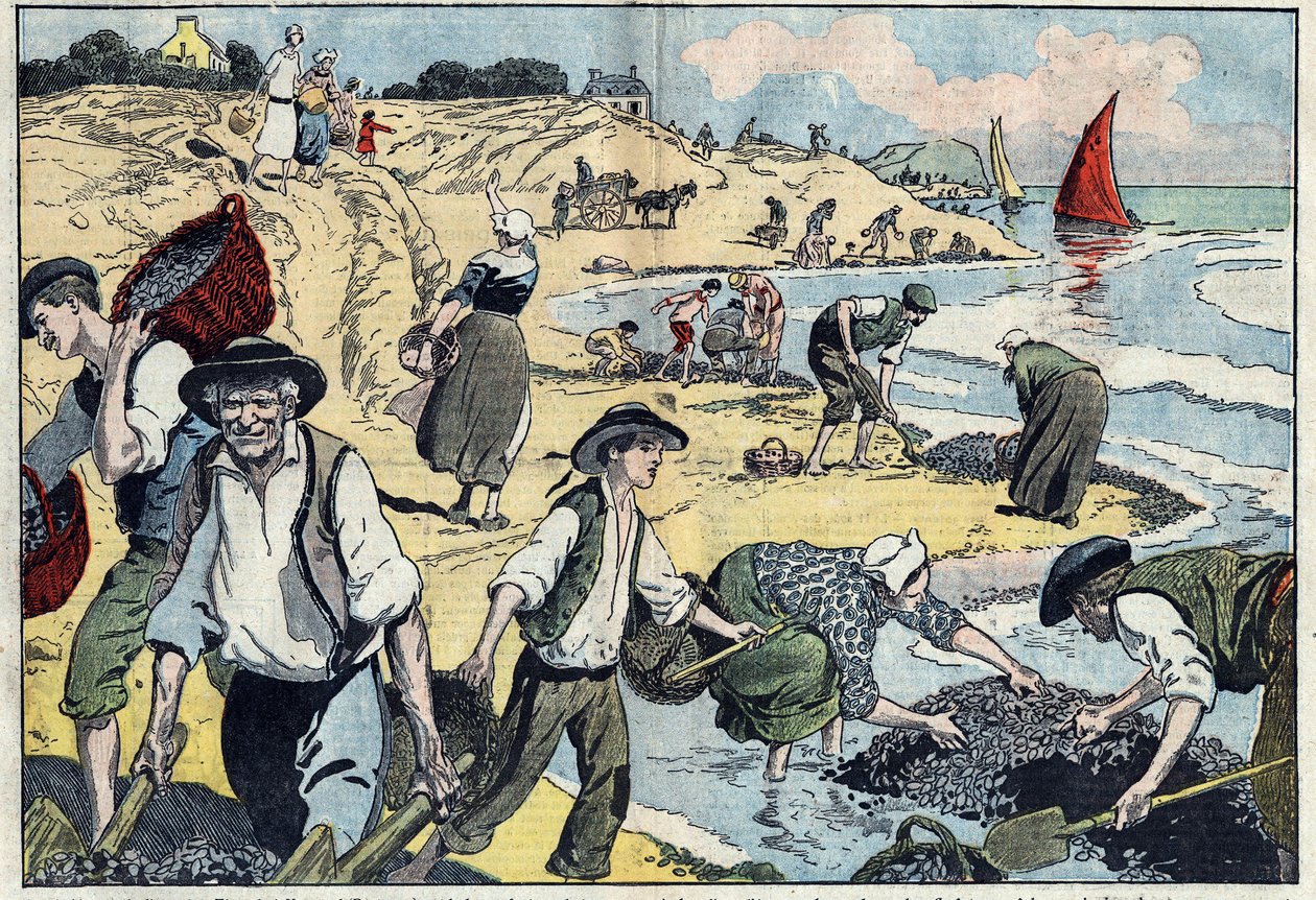 Les habitants de la côte de Thouais récoltent des moules. Kernevel, Finistère (29), Bretagne. Illustration de Damblans. Dans "Le Pèlerin" du 31 août - Eugene Damblans