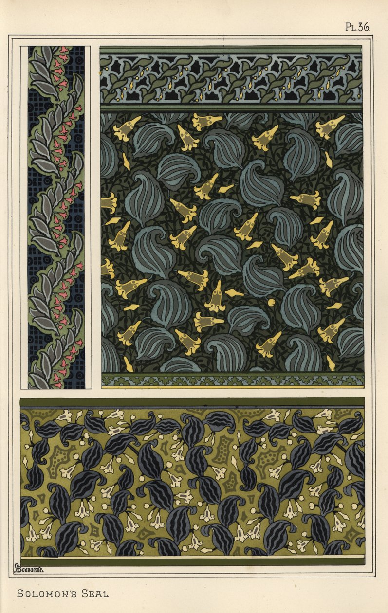 Sceau de Salomon, Polygonatum multiflorum, comme motif de design en papier peint, bordures et motifs de tissu - Eugene Grasset