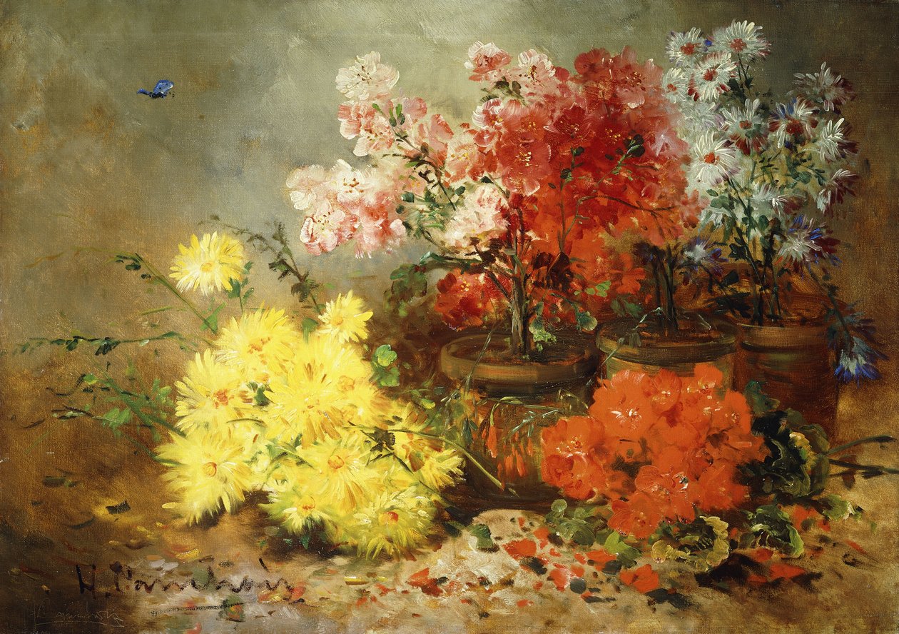 Marguerites, bégonia et autres fleurs en pots - Eugene Henri Cauchois