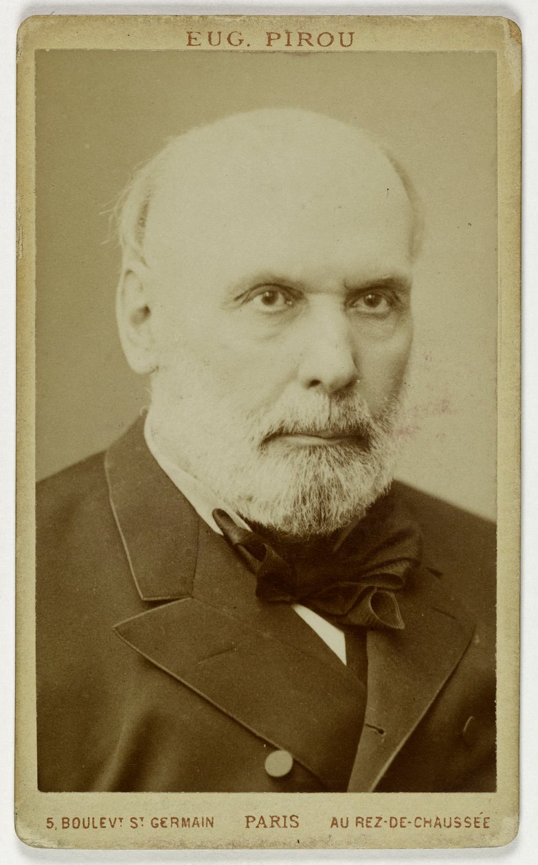 Porträt von Grévy Jules, (1807-1897), (Politiker, Anwalt, Abgeordneter, 4. Präsident der Republik) - Eugene Pirou