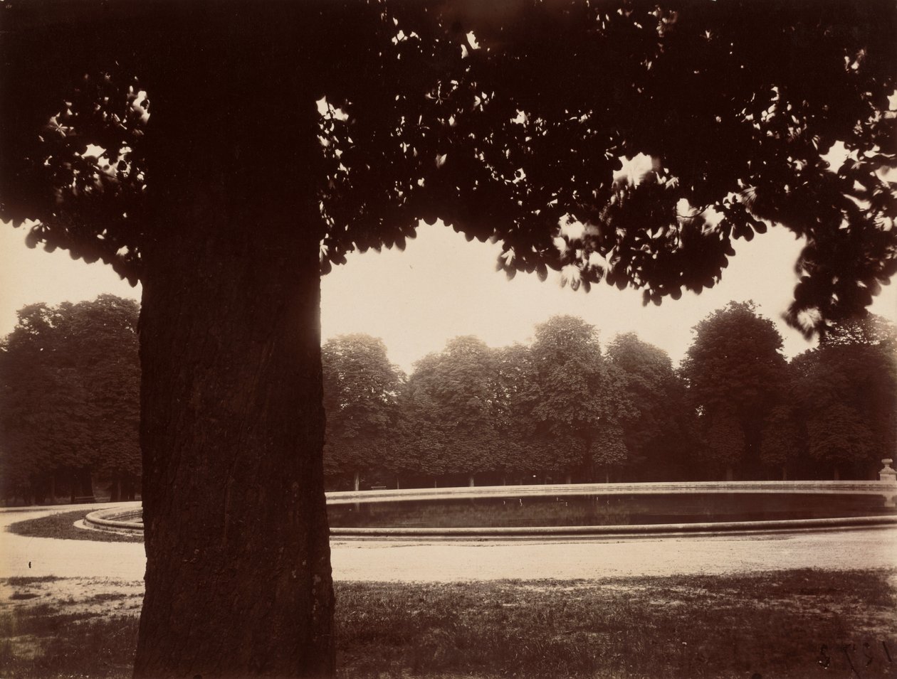 Saint-Cloud,1926 (photo) - Eugène Atget