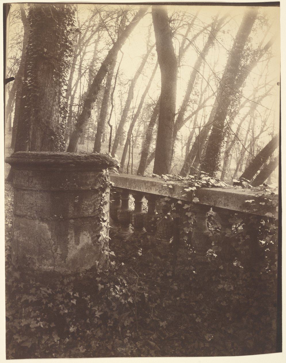 Saint-Cloud Park, Paris - Eugène Atget