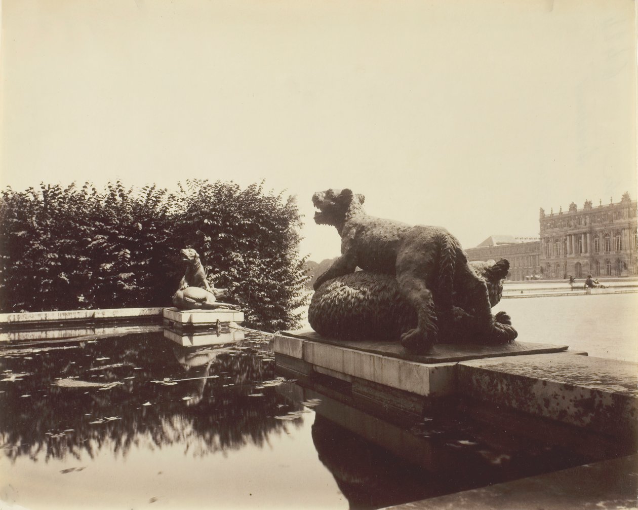 Versailles, Fontaine du Point du Jour, Tigre terrassant un ours par Houzeau, 1903 - Eugène Atget