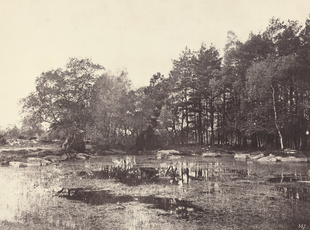 Marais au Plateau de Piat Belle-Croix, vers 1863 - Eugène Cuvelier