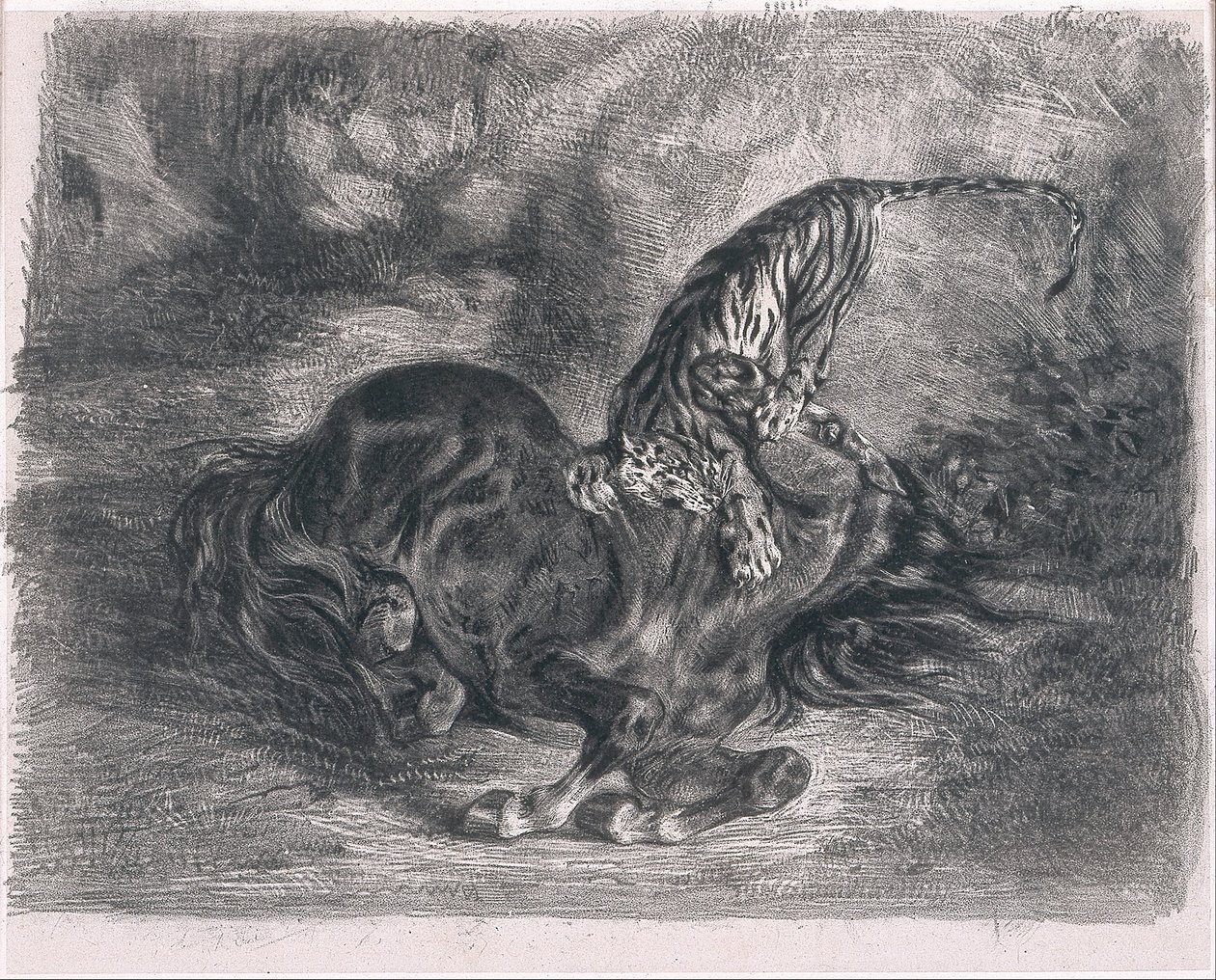 Cheval sauvage terrassé par un tigre - Ferdinand Victor Eugene Delacroix