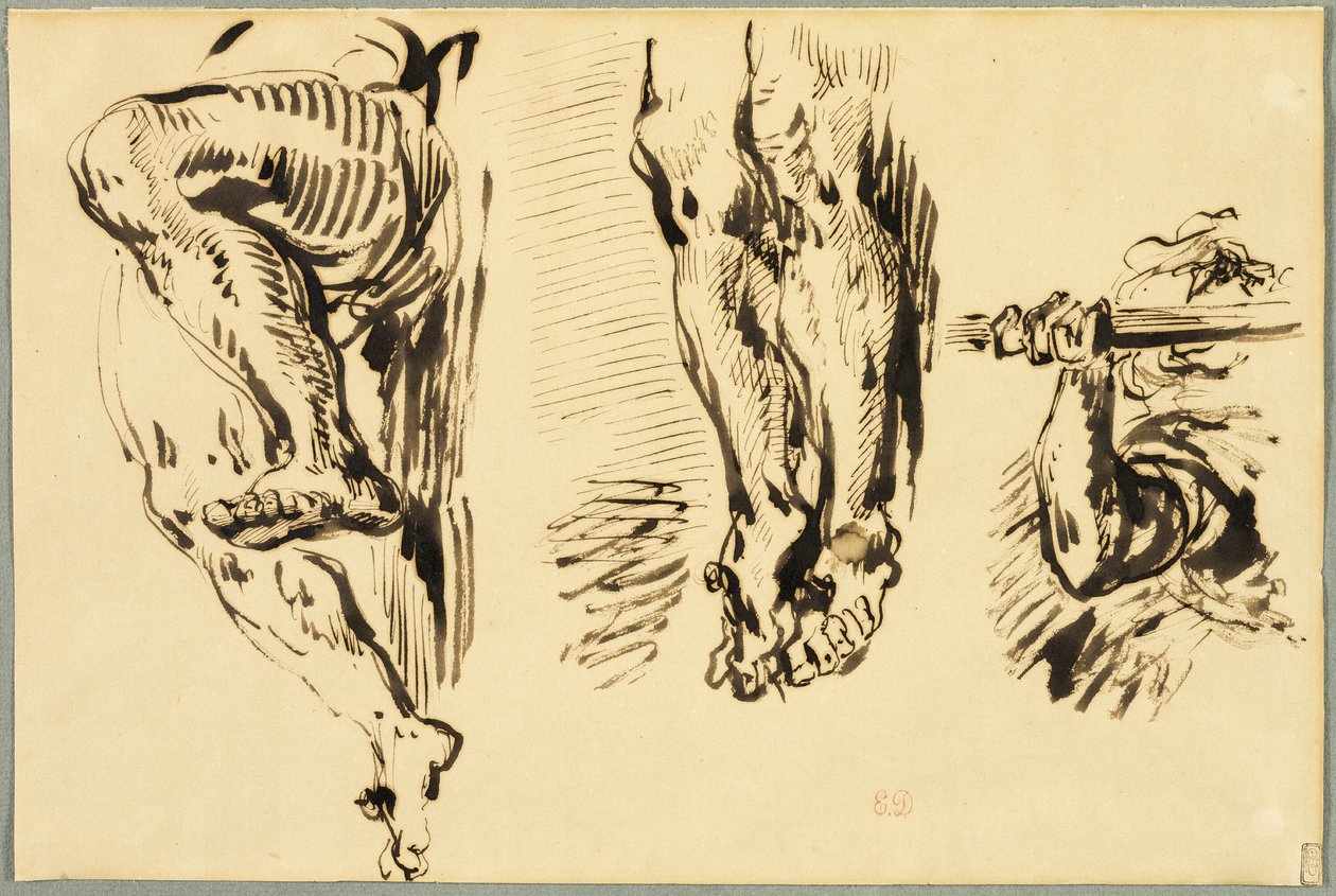 Étude des bras et des jambes du Christ crucifié - Eugène Delacroix