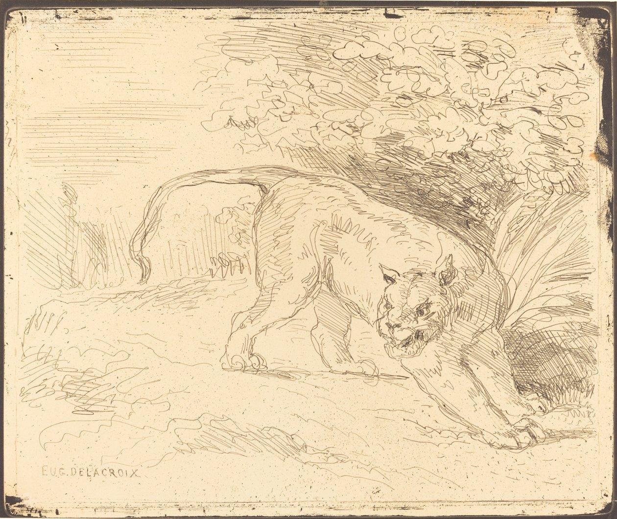 Tigre en arrêt, 1854 - Eugène Delacroix
