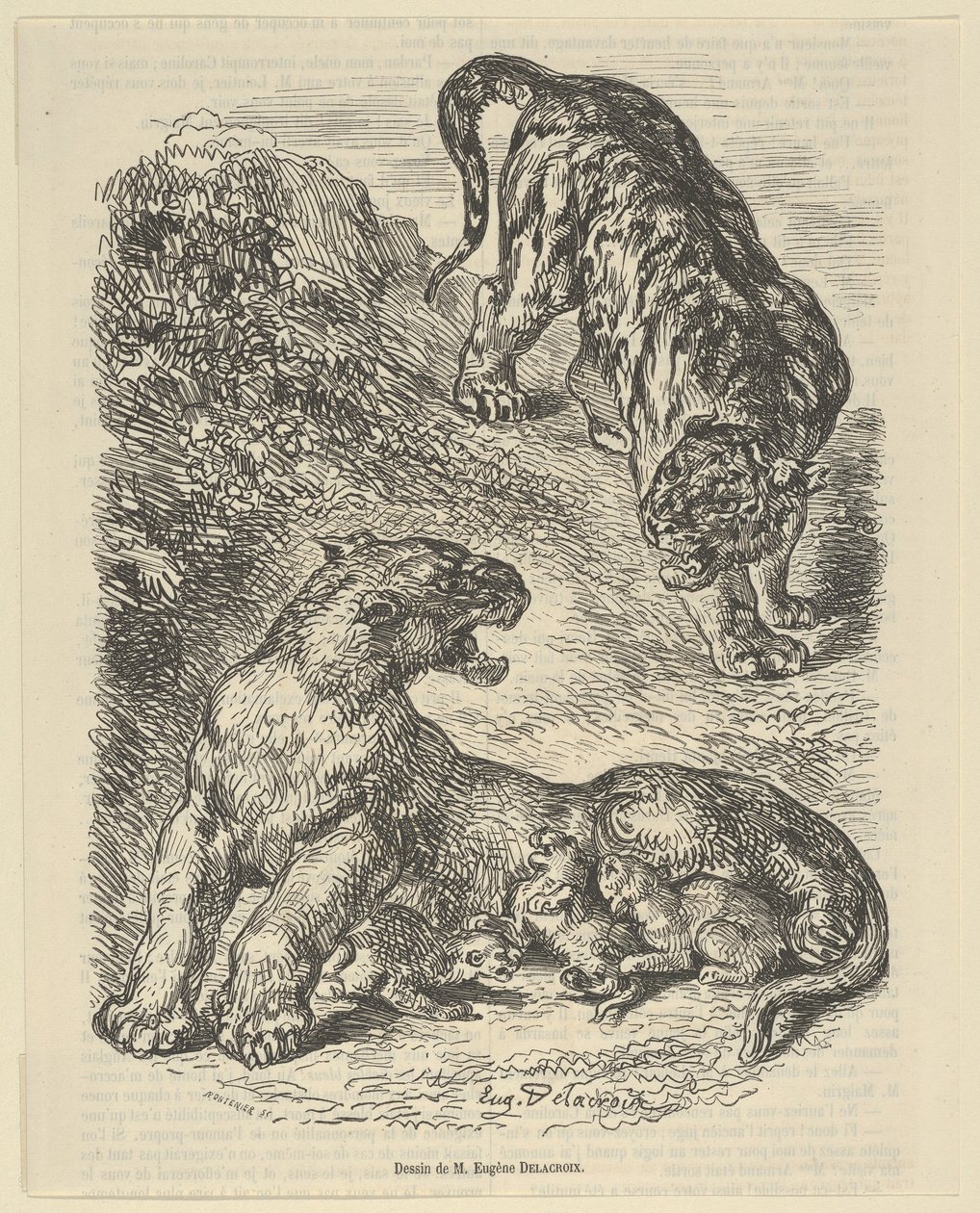 Tigresse attaquée par un tigre en allaitant ses petits, 1853 - Eugène Delacroix
