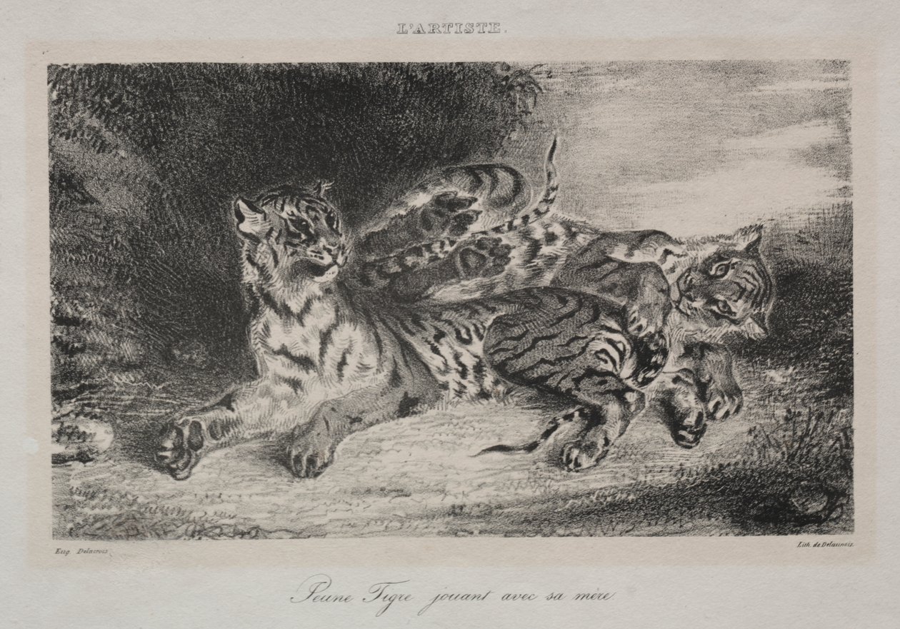 Jeune tigre jouant avec sa mère - Eugène Delacroix