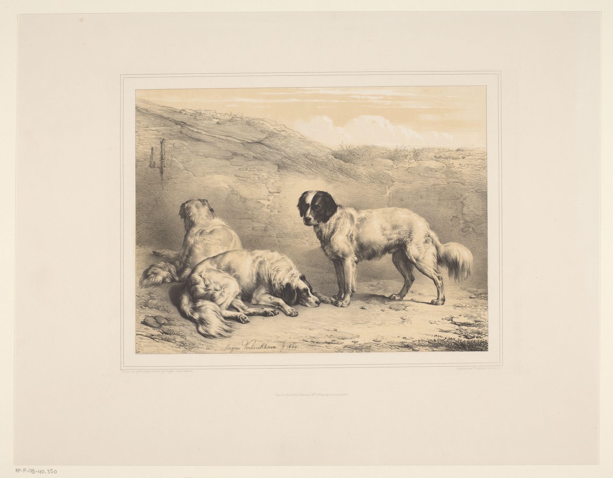 Trois chiens (Études d