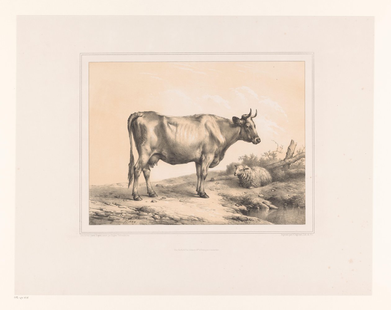 Vache et mouton dans un paysage - Eugène Verboeckhoven