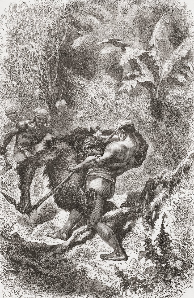 Un natif Dayak de Bornéo combattant avec un orang-outan, de 