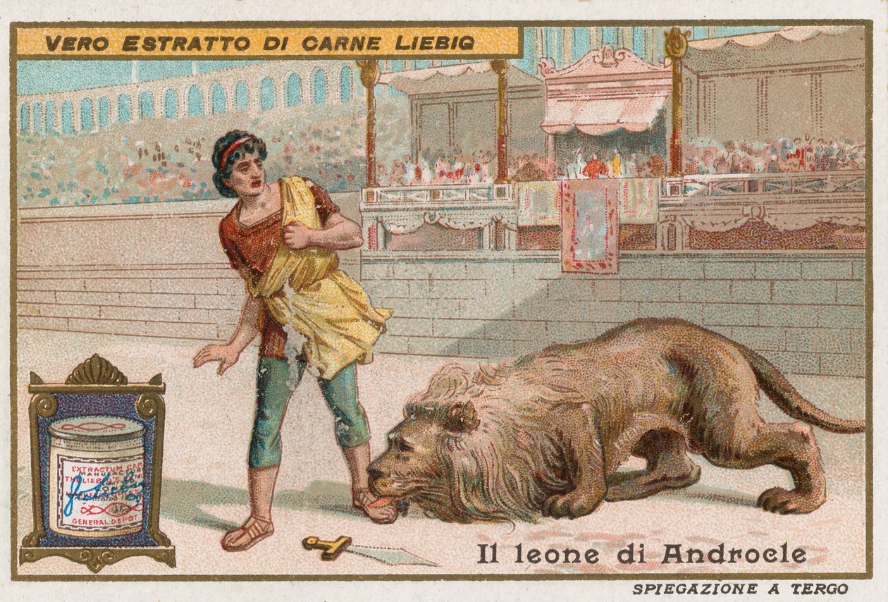 Androclès et le lion - European School