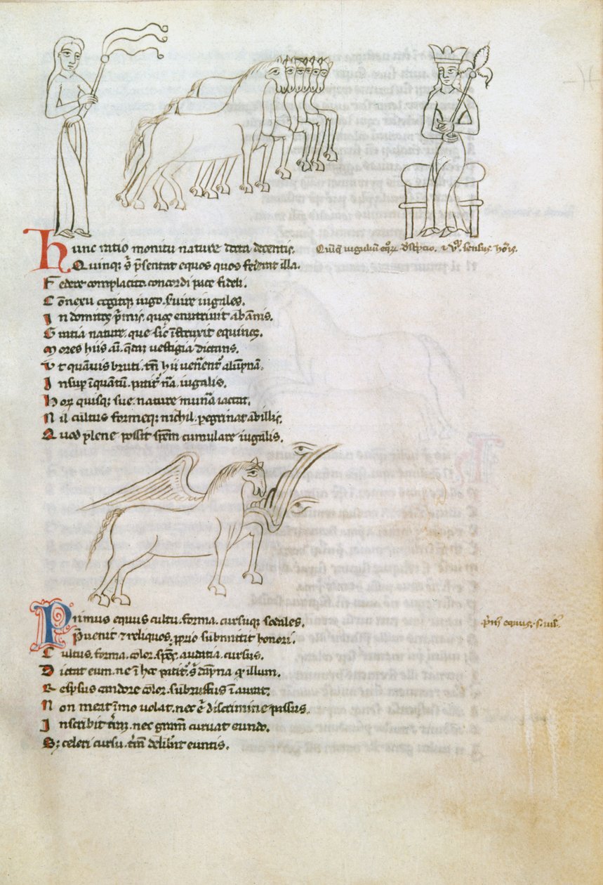 Bestiaire : le cheval - European School