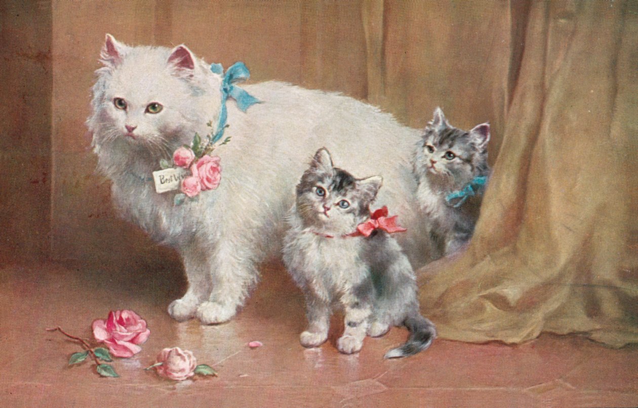 Carte postale de chat (lithographie couleur) - European School