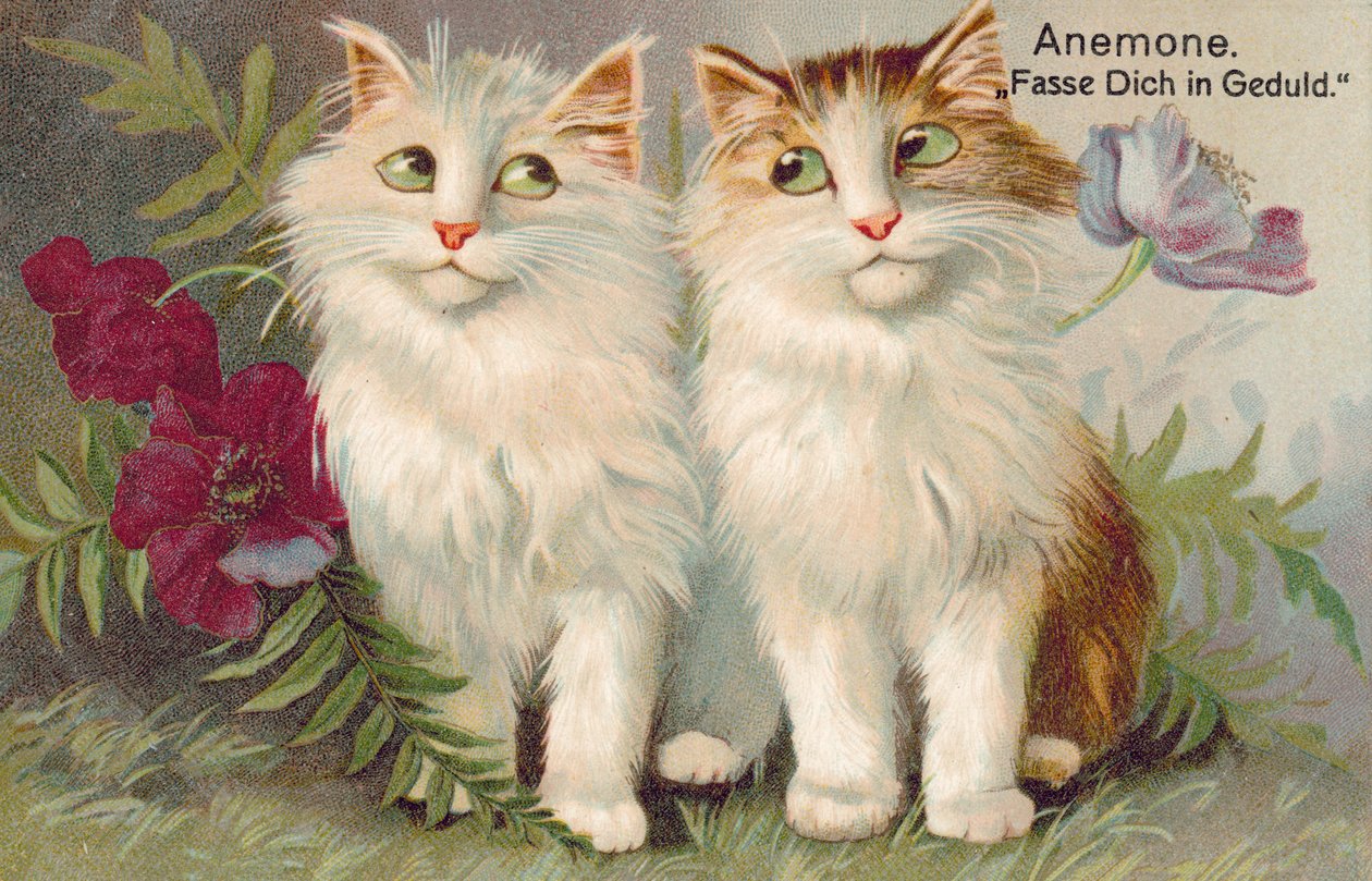 Carte postale de chat (lithographie couleur) - European School
